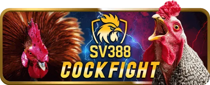 Thưởng nạp lại Win55 Login